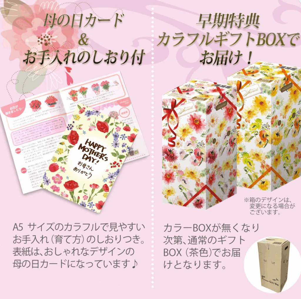 【レビュー】Amazonで買った!母の日 カーネーション 鉢植え ギフトの体験談